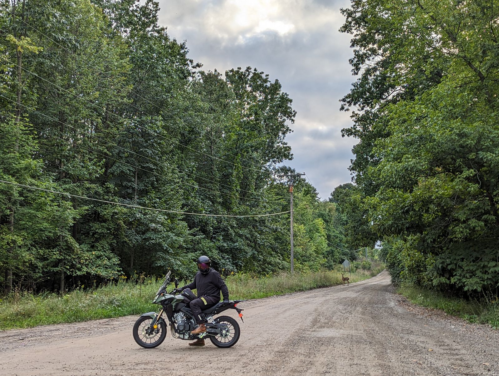 Biker in the Woods Biker in the Woods