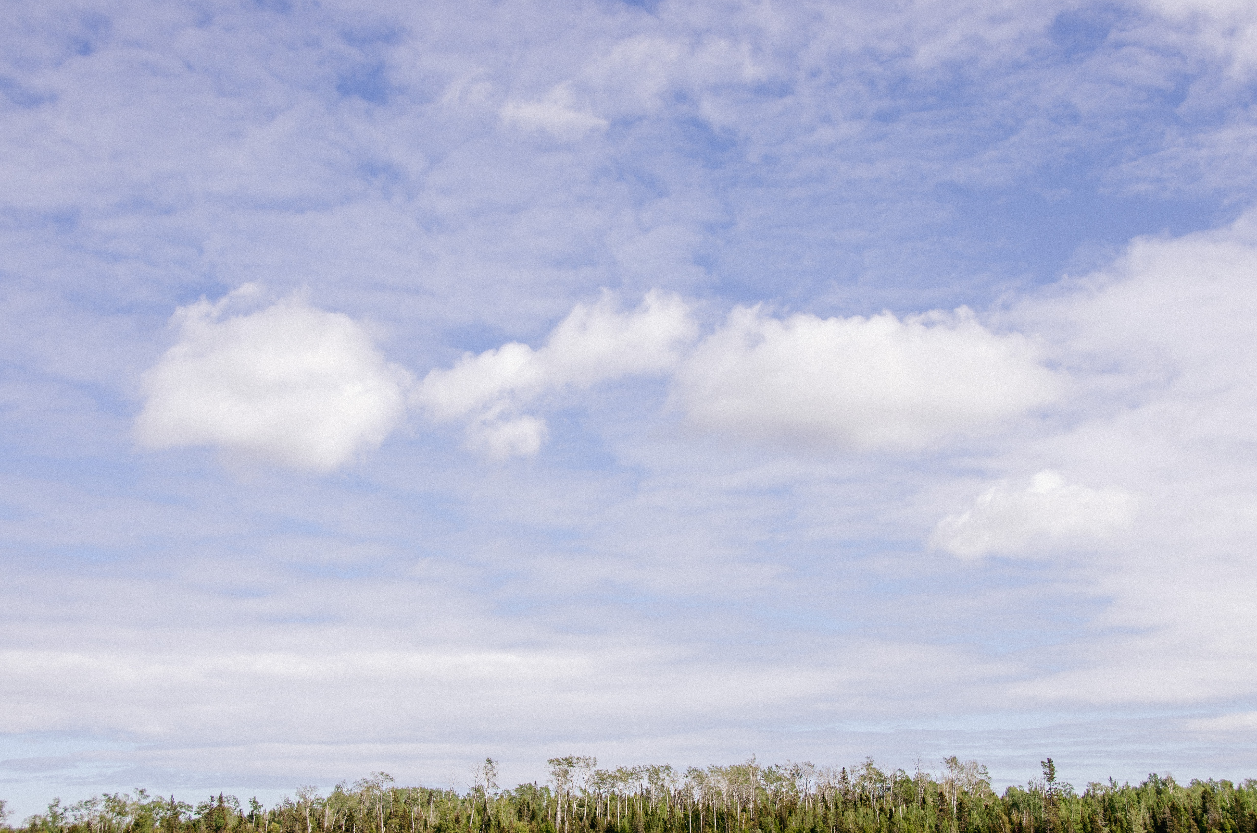 Cloudy Sky Cloudy Sky