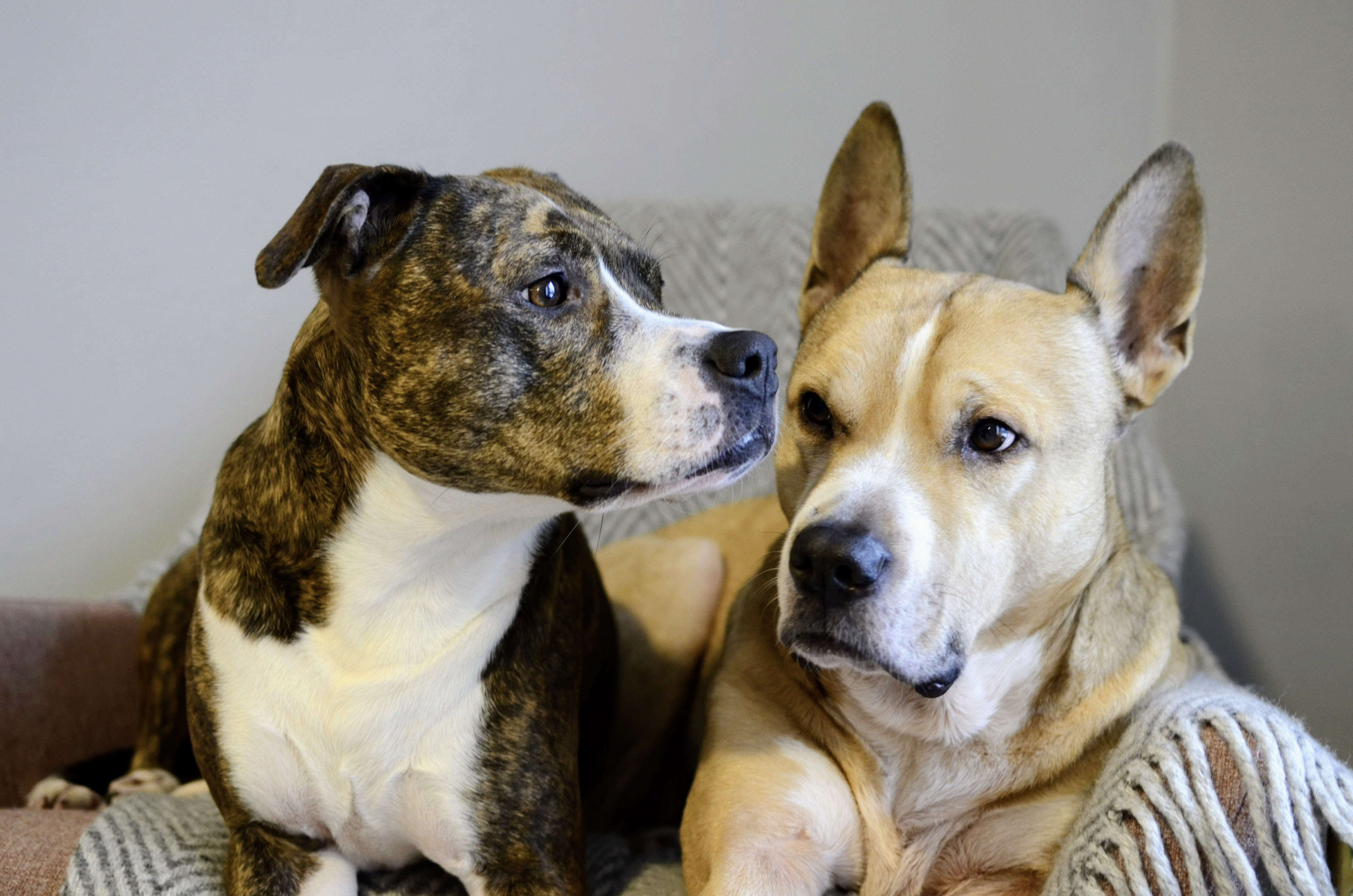 Korra And Bodhi Korra And Bodhi