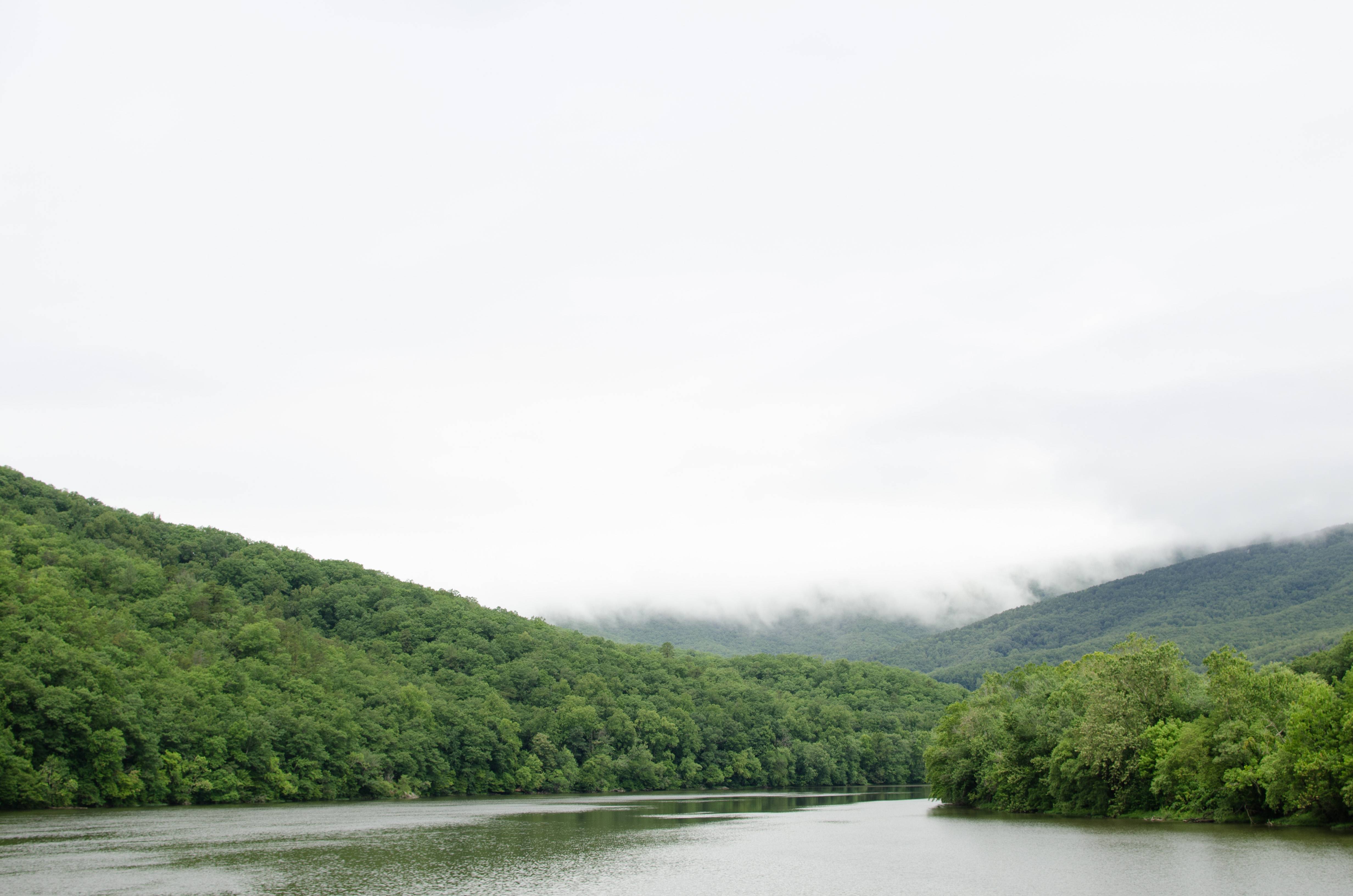 Virginia River